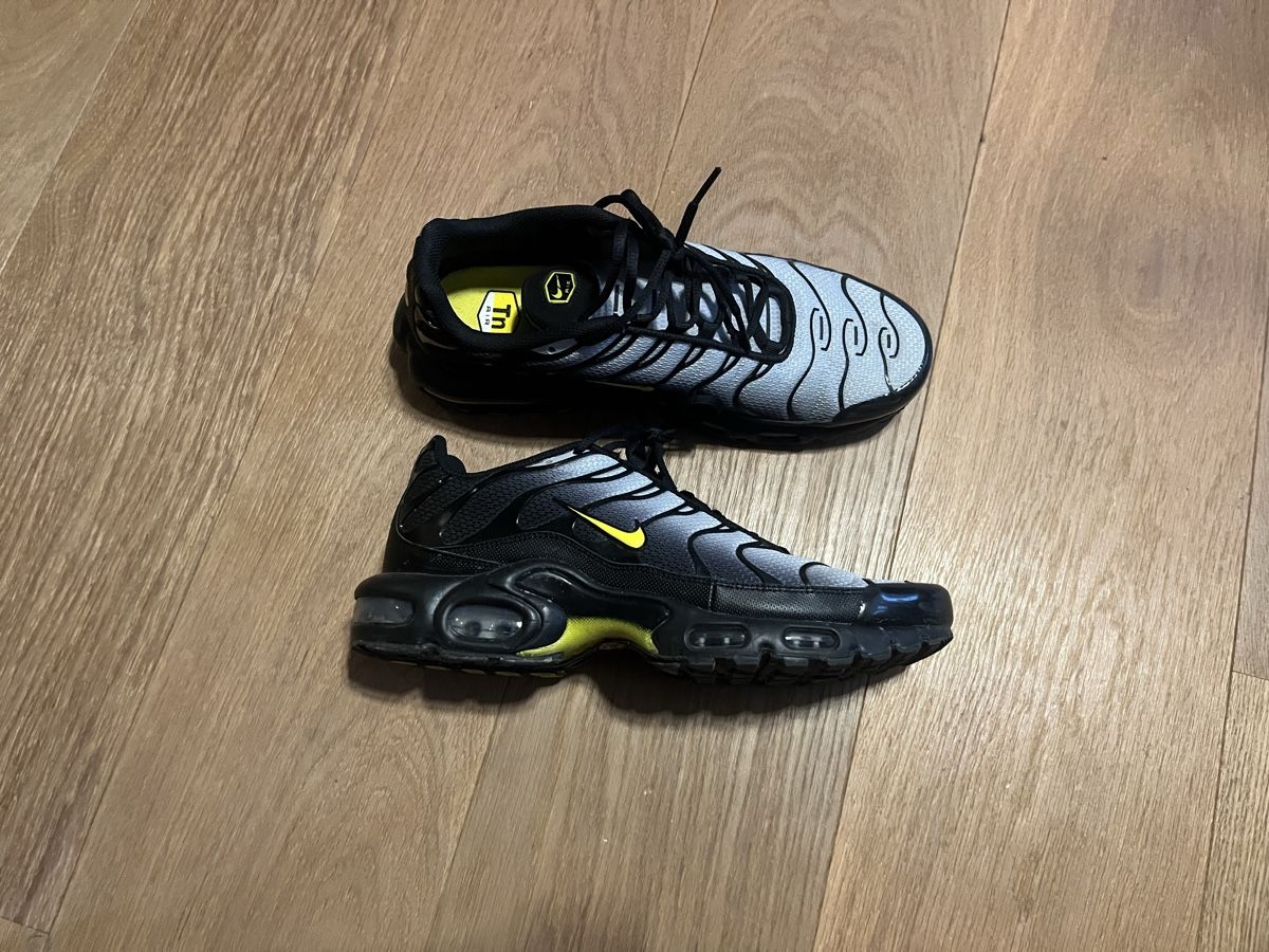 Nike Herrenschuhe: Nike Air Max Plus TN Grösse 44 – Gebraucht aus Münchenbuchsee von salty