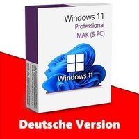 Windows 11 Professional (5 PC)