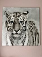 Edles Tigerbild, Glassdbild, Top Zustand!