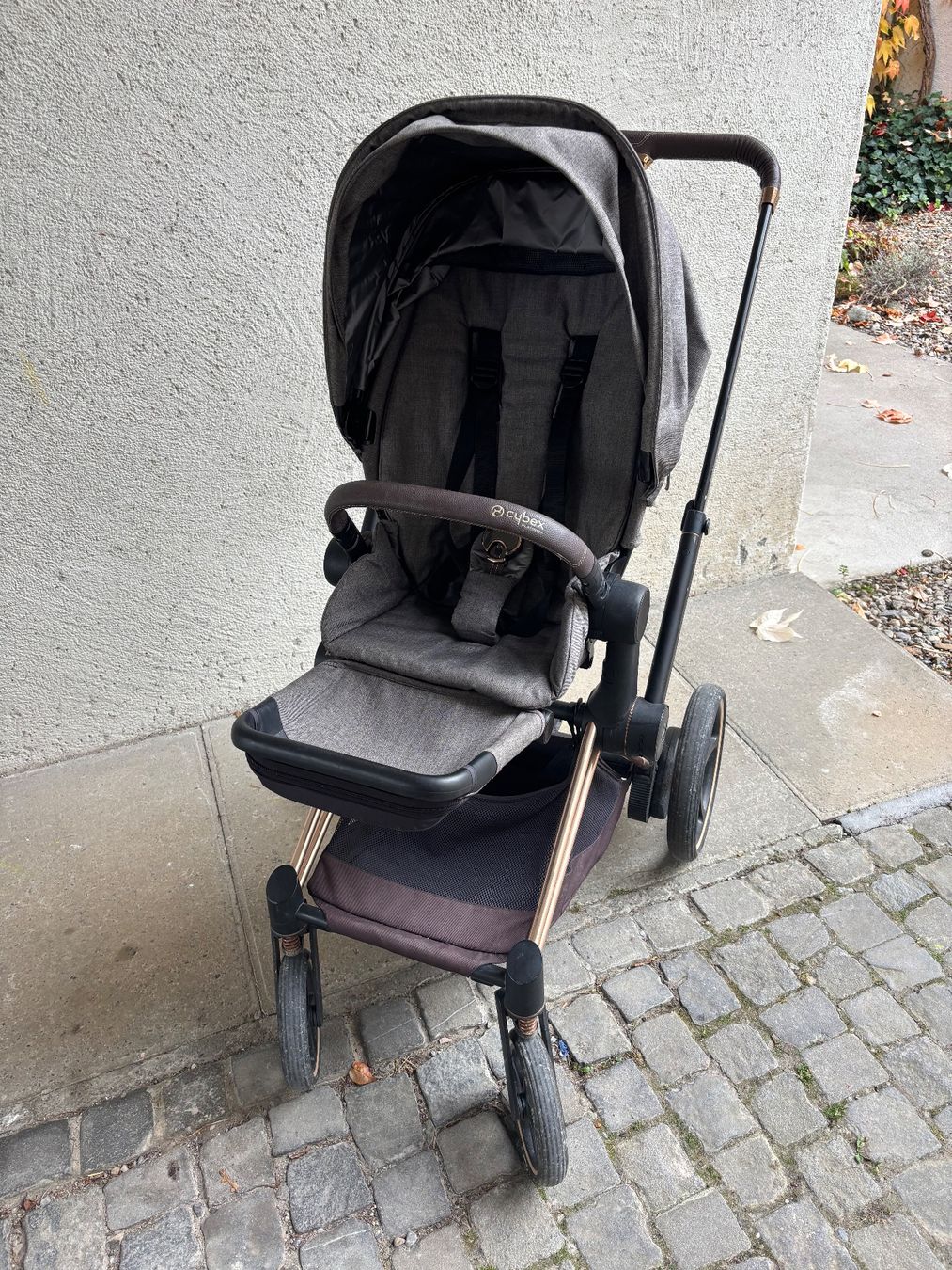 Cybex e-Priam Kinderwagen (elektrisch) mit Babywanne (Gebraucht) in Hittnau  fr CHF 350  nur Abholung auf Ricardo kaufen
