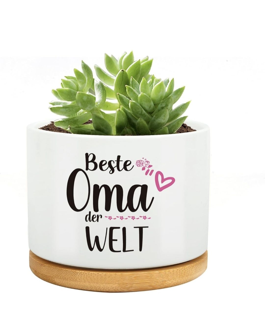 Vasi per fiori: Topf mit Spruch "Beste Oma der Welt" neu – Nuovo e nell'imballaggio originale da Merlischachen venduto da simplestuff123