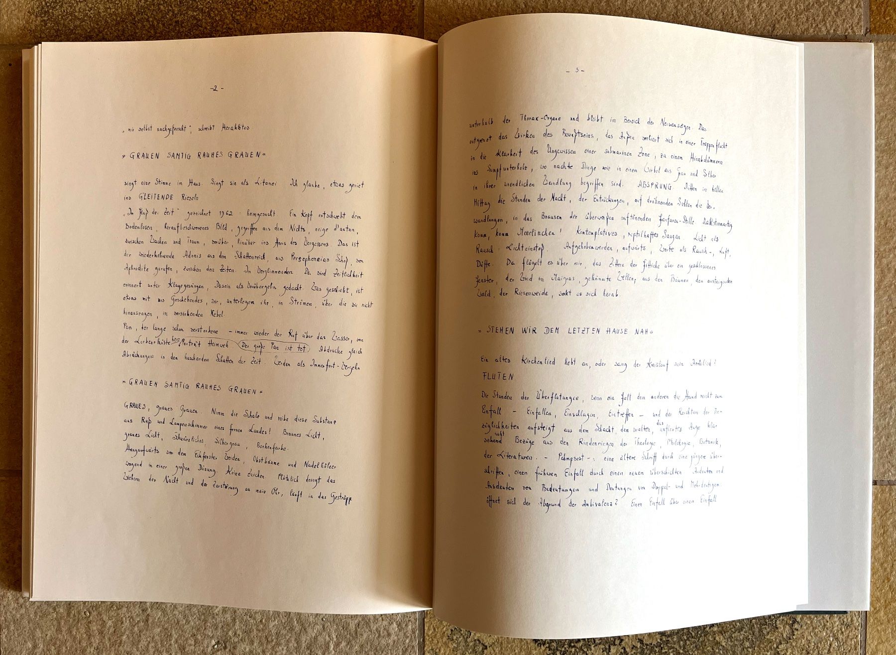 Livres: Altenbourg Ich-Gestein – Neuf (Voir description) à Volketswil par Chudschi 2