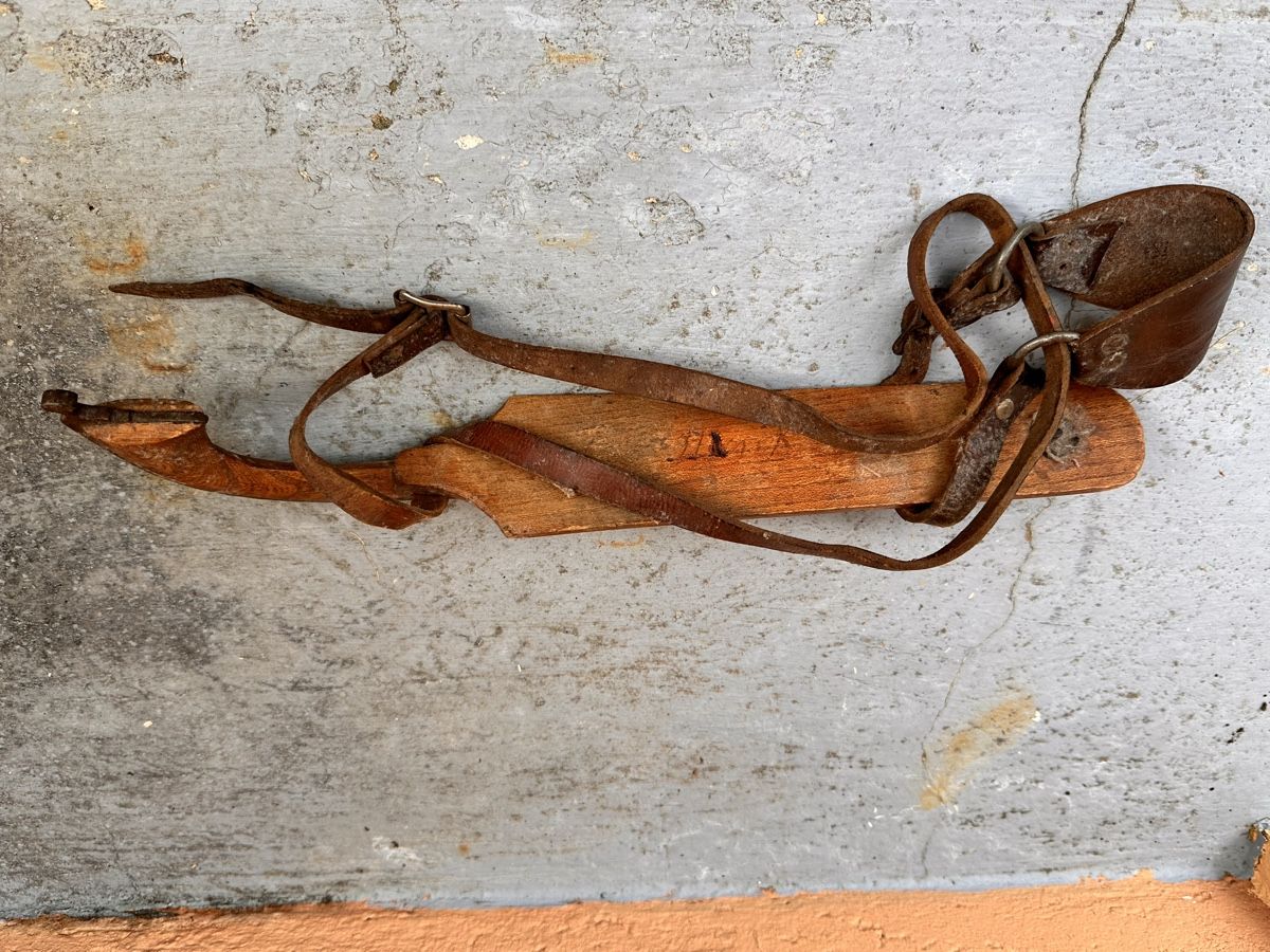 Pattini da ghiaccio: Ein alter Schlittschuh – Usato da Zürich venduto da marusapulmi 1