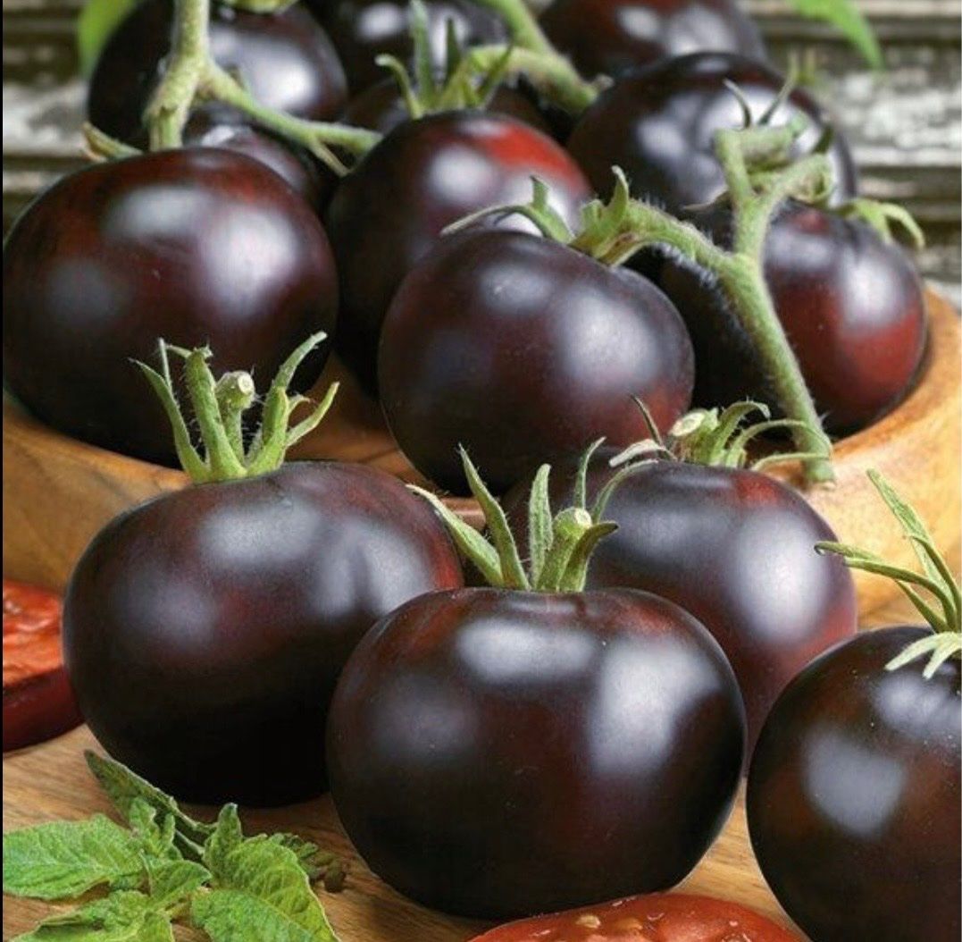 Piante & sementi: TOMATE  Blackball / 5 Samen – Nuovo (secondo la descrizione) da Kerzers venduto da kriszti0