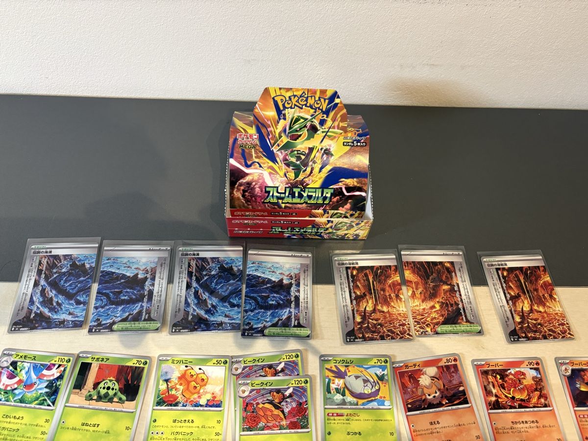 Cartoline: Pokemon Storm Emeralda – Usato da Tübach venduto da ebr_ts9c 1