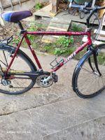Herren Citybike 56cm Rahmmengrösse