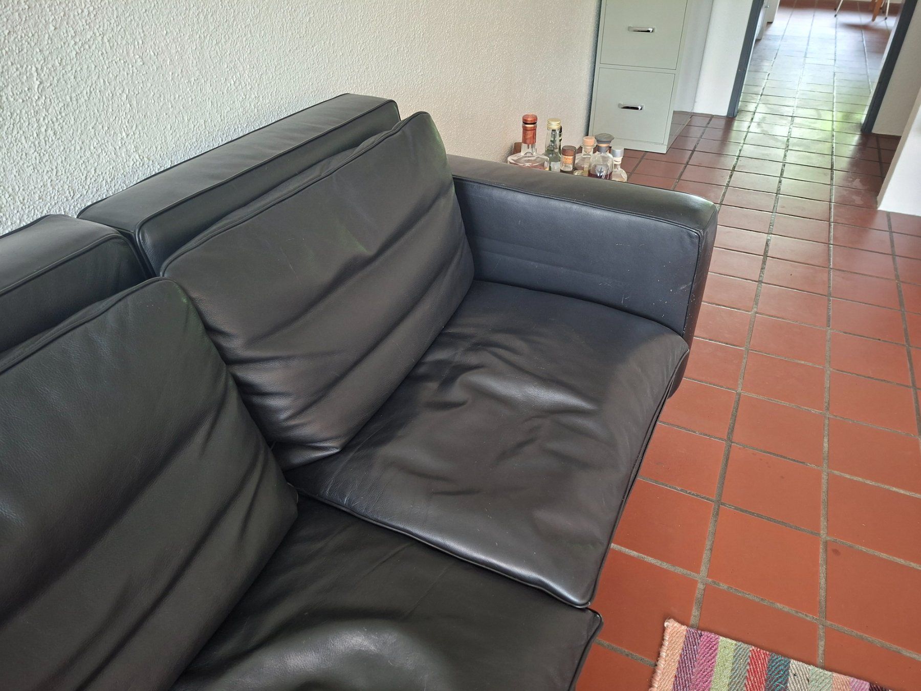Sofas: DESIGNKLASSIKER: DE SEDE HAUSSMANN 3-ER SOFA – Gebraucht aus Neftenbach von Campervan_B 4