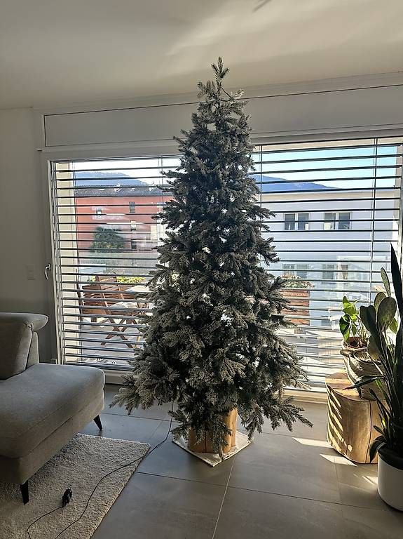 Tutte le decorazioni: Albero di Natale 210 cm – Usato da Caslano venduto da mar_vj2l