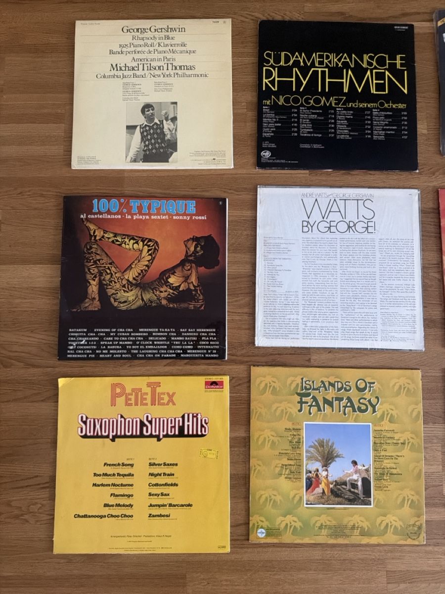 Dischi in vinile: Schallplatten-Set – Usato da Buchs ZH venduto da scarah 2
