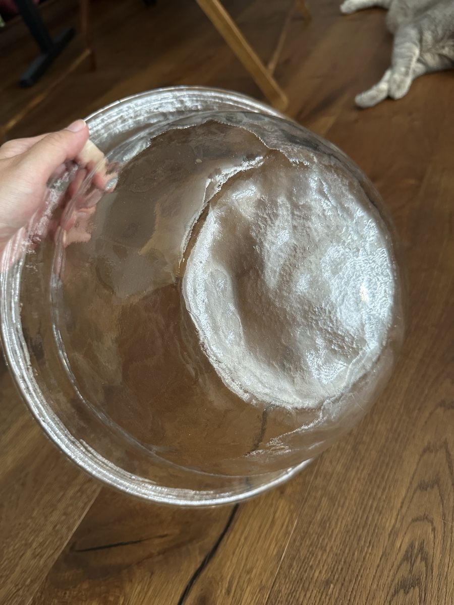 Bicchieri: Schale aus Glas – Usato da Rudolfstetten venduto da Jenna.Bananna 5