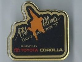 Toyota PIN
