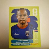 CPV 16 Panini FIFA WM 2026