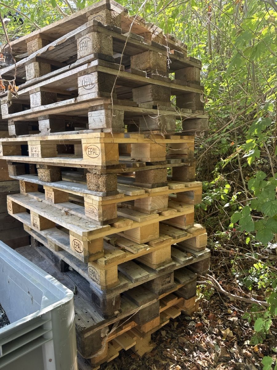 Pallets: Europalleten – Usato da Düdingen venduto da dan_k78h