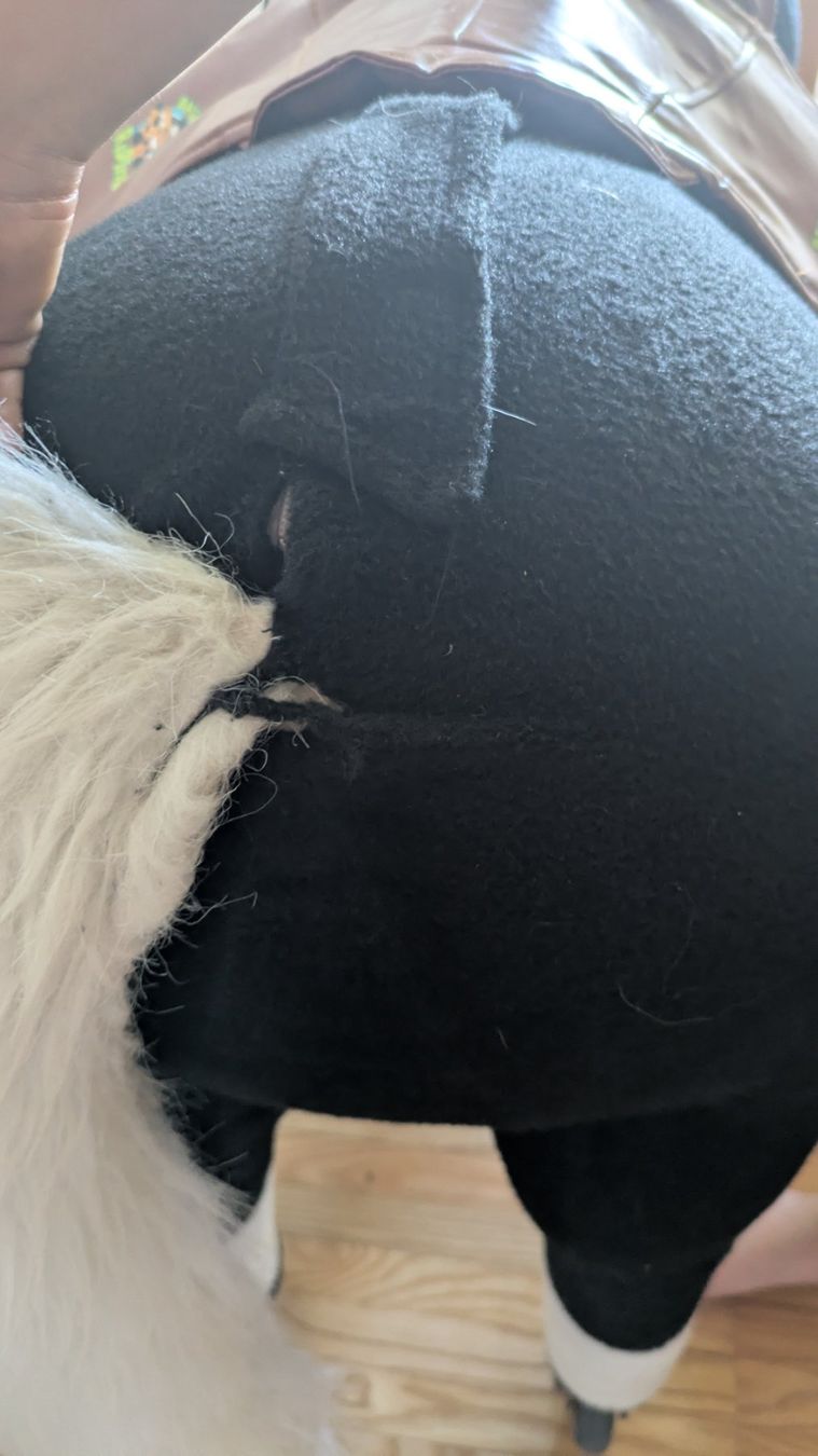 Giocattoli: Reitpferd Animal Riding x-Large – Usato da Lommis venduto da susannekoenig 4