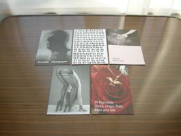 5 Innen Zines / Urs Lüthi / Olivier Zahm / Eric Kroll