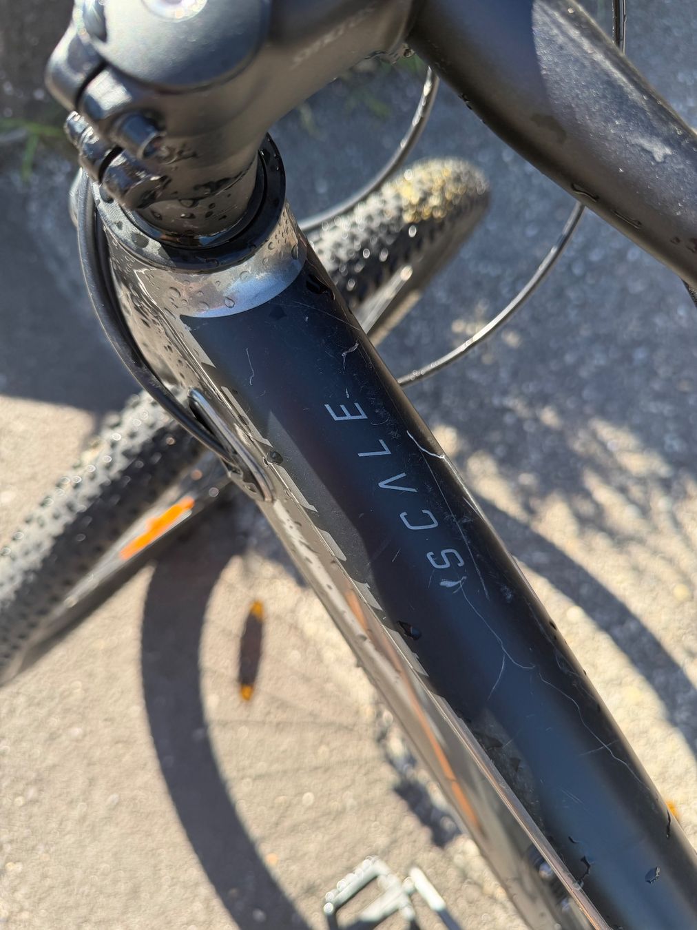 Scott Biciclette: Scott Scale 965, Grösse M – Usato da lohn-ammannsegg venduto da matt. 1