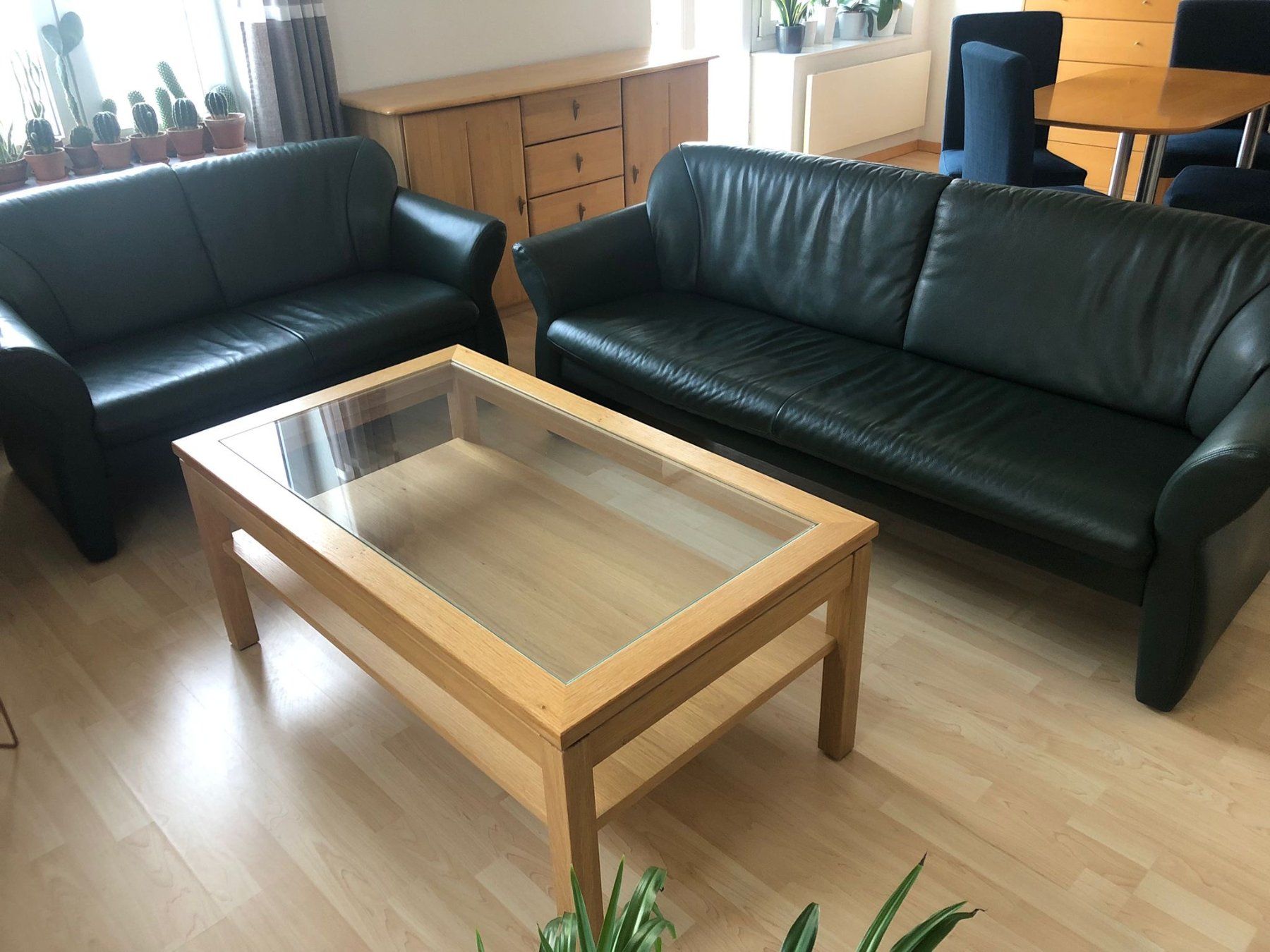 Pfister Divani: Ledercouch - 2 und 3 Sitzer – Usato da St. Gallen venduto da neuhierinbern