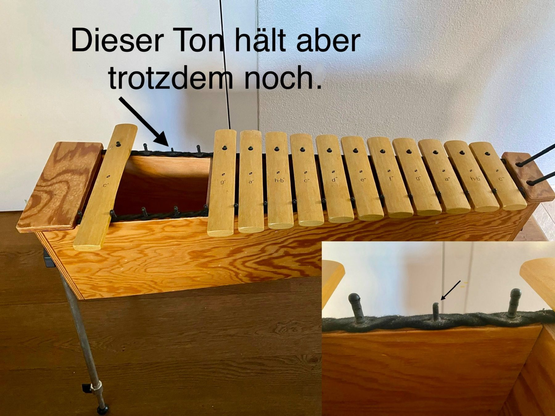 Sonor Strumenti musicali: Xylophon Sonor Percussion TA KX 100 – Usato da Oberrüti venduto da janderos 8
