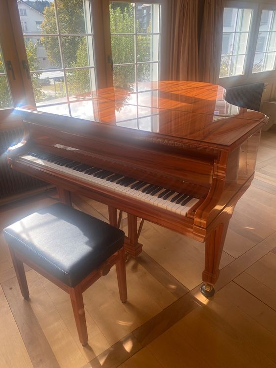 Steinway Crown Jewel O180 Spirio Kaufen auf Ricardo