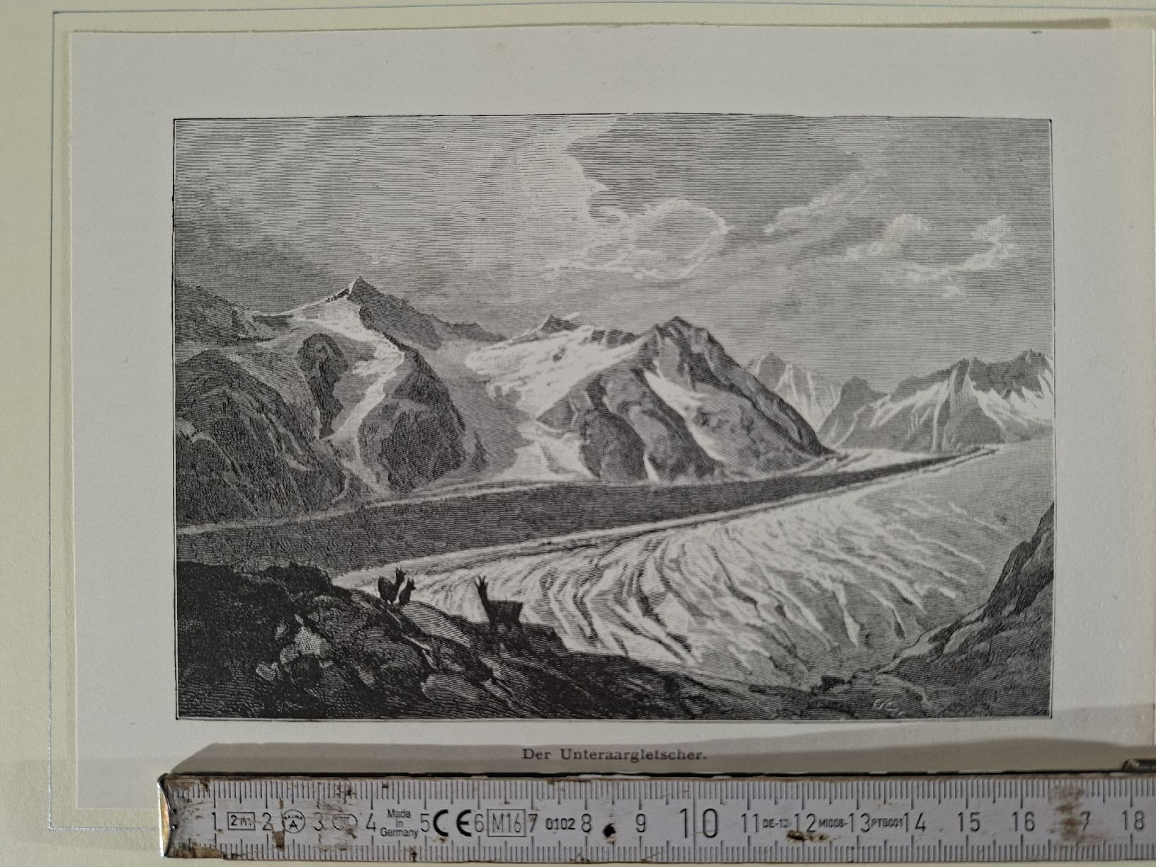 Incisioni: Lot  78 , 20 Stiche  – Usato da Grindelwald venduto da carro5
