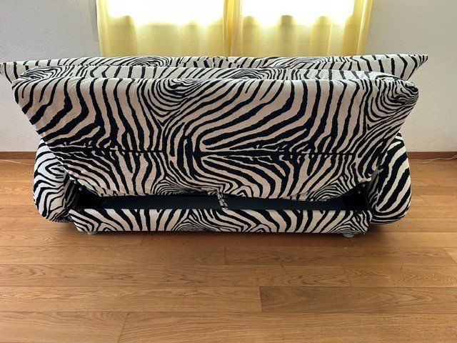 Bretz Sofas: Bretz Bettsofa Zebra – D'occasion à Wangen SZ par maiebluemli 8