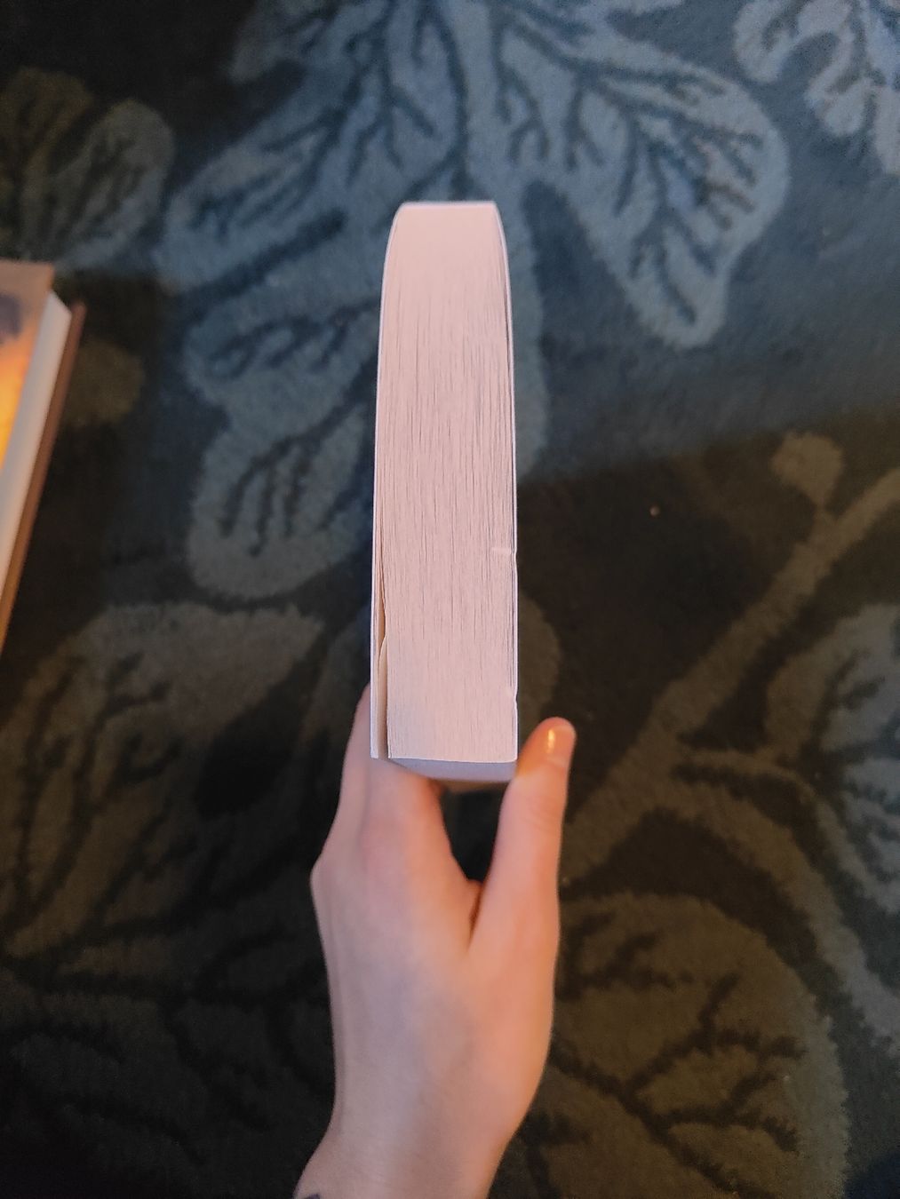 Bücher: book "A  Fragile Enchantment", Allison Saft – Gebraucht aus Coeuve von sap_2pfr 3