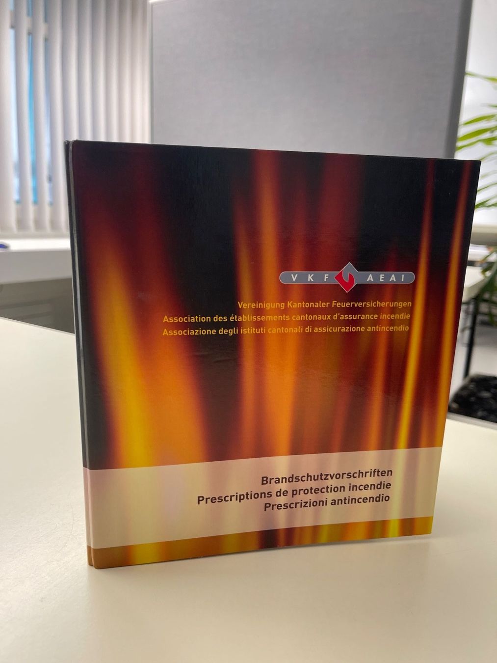 Raccoglitori: Brandschutzvorschriften VKF 2015 – Usato da Matzingen venduto da carola71 1