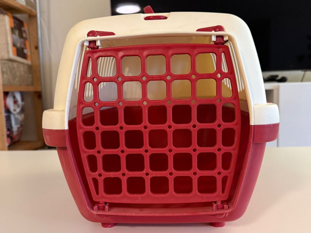 Gabbie, trasporto & Sicurezza: Transportbox – Usato da Olten venduto da jsc_trq6