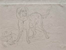 JOHANN ELIAS RIDINGER (attr.) – Studie eines Hundes