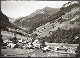WEISSTANNEN mit Ringgenberg