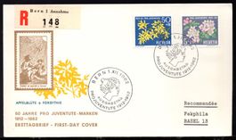 50 JAHRE  PRO JUVENTUTE   1.XII.1962