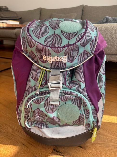Ergobag Kindertaschen: Ergobag Schulrucksack – Gebraucht aus Muttenz von carbir