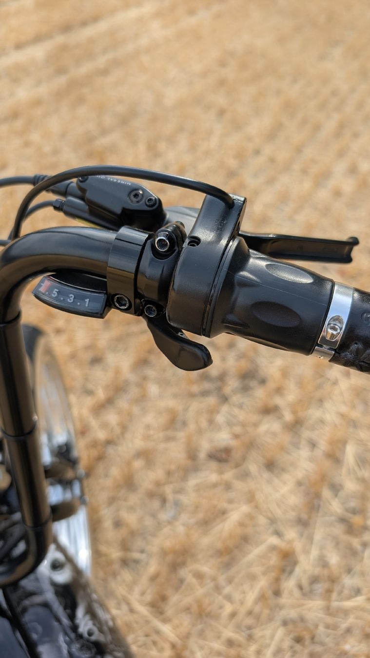 Velos: Exklusives e-Rats Custom Cruiser E Bike mit Springergabel – Gebraucht aus Egolzwil von Schaermike 9