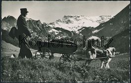 BE Boden - Adelboden - Post