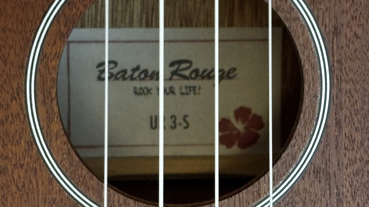 Strumenti musicali: Ukulele mit Stimmgerät und Zubehör – Usato da Zürich venduto da Saminaeggi 2