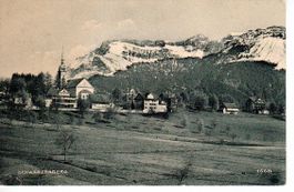 Schwarzenberg 1914