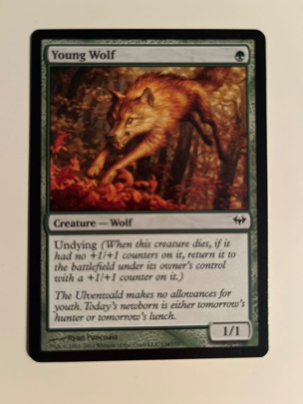 Magic The Gathering Carte collezionabili: 1 x Young Wolf - Magic: The Gathering - MtG – Usato da Kriens venduto da Shadi1980
