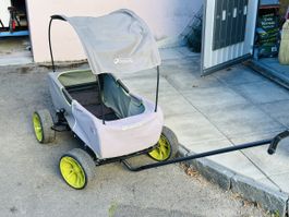 Hauck Bollerwagen mit Dach, Räder Dach Zugstange abnehmbar