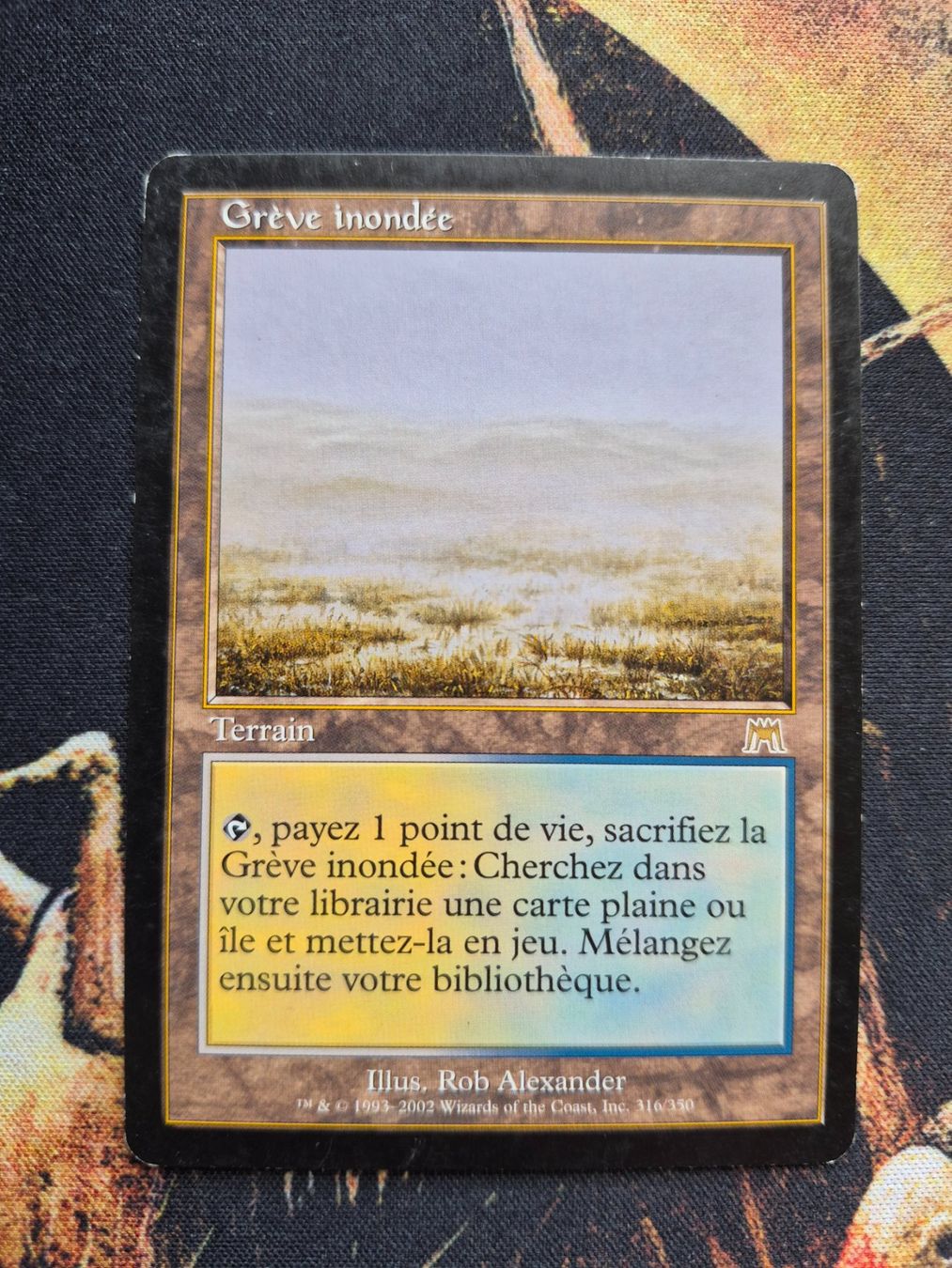 Magic The Gathering Cartes à collectionner: Greve inondée – D'occasion à Gampelen par sebest95