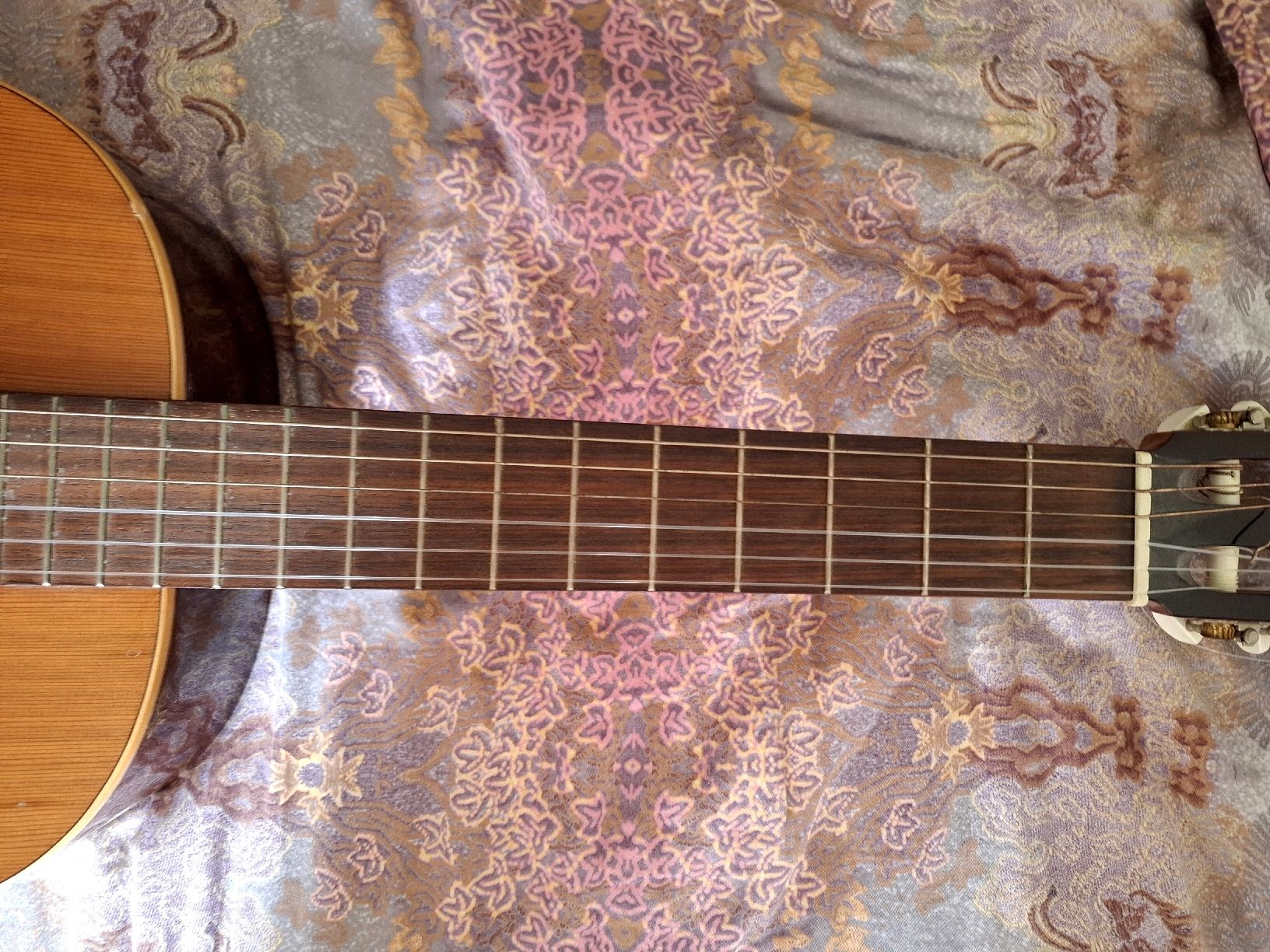 Alhambra Strumenti musicali: Guitarren Classic Alhambra von Spain – Nuovo (secondo la descrizione) da Meilen venduto da GabsZurich 5