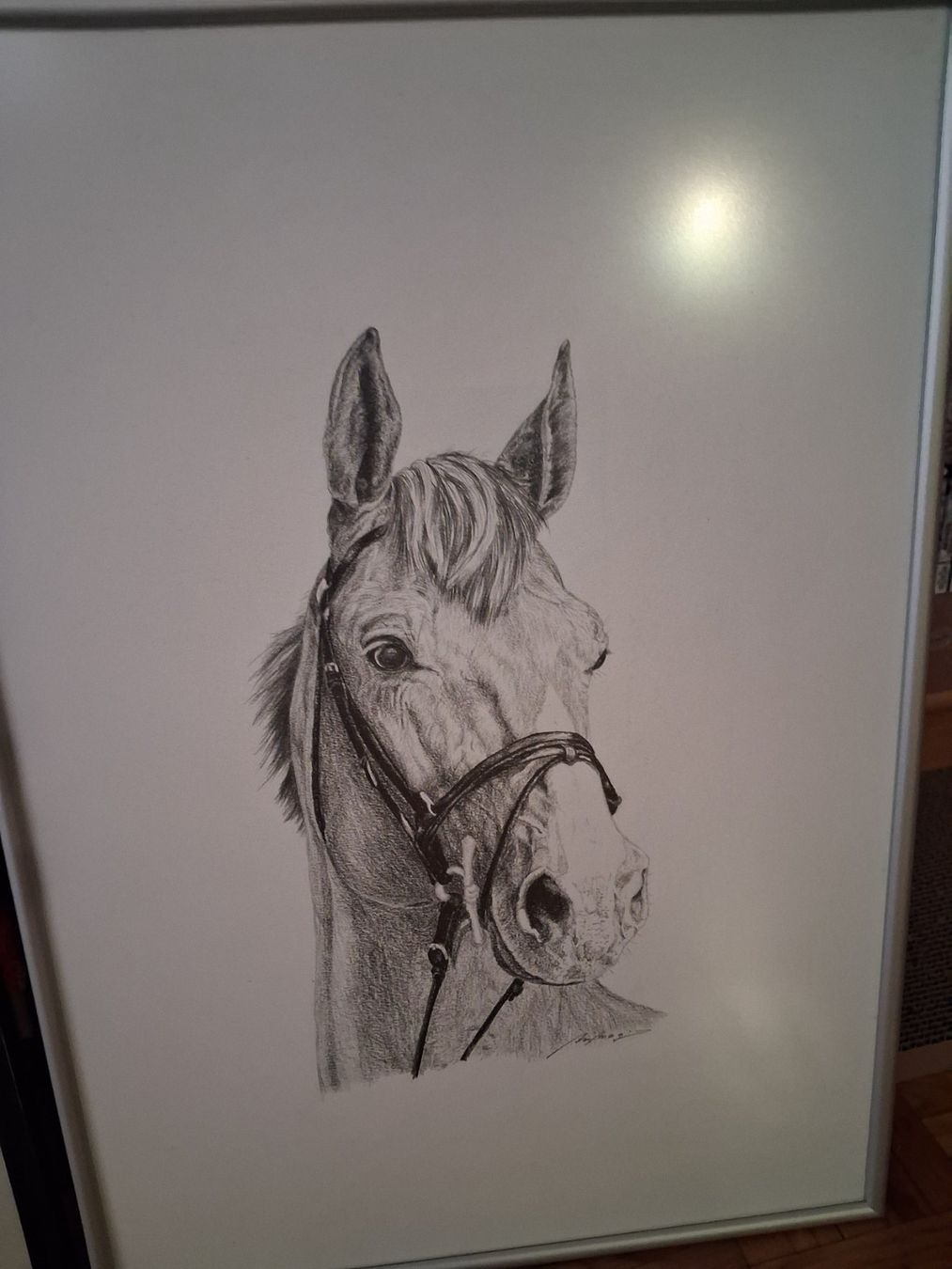 Dipinti: A vendre portrait d'animaux – Nuovo (secondo la descrizione) da Bulle venduto da eli_5qhx 3