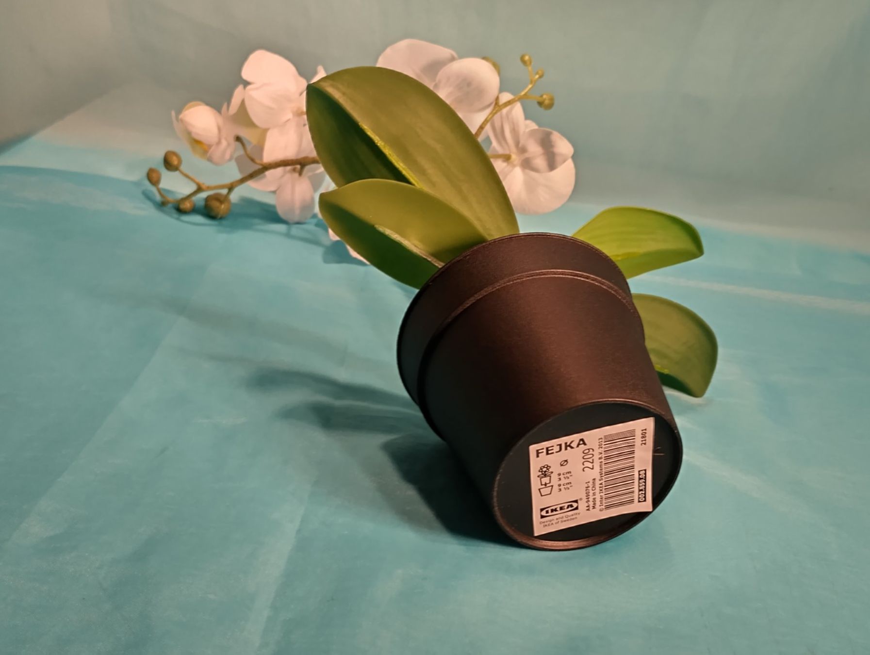 Pflanzen & Samen: Weisse Phalaenopsis im Topf, H: 32cm, Ikea – Neu (gemäss Beschreibung) aus Bellach von JingleCherry 4