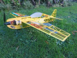 RC Flugzeug Elektro KATHENA 90cm 600g