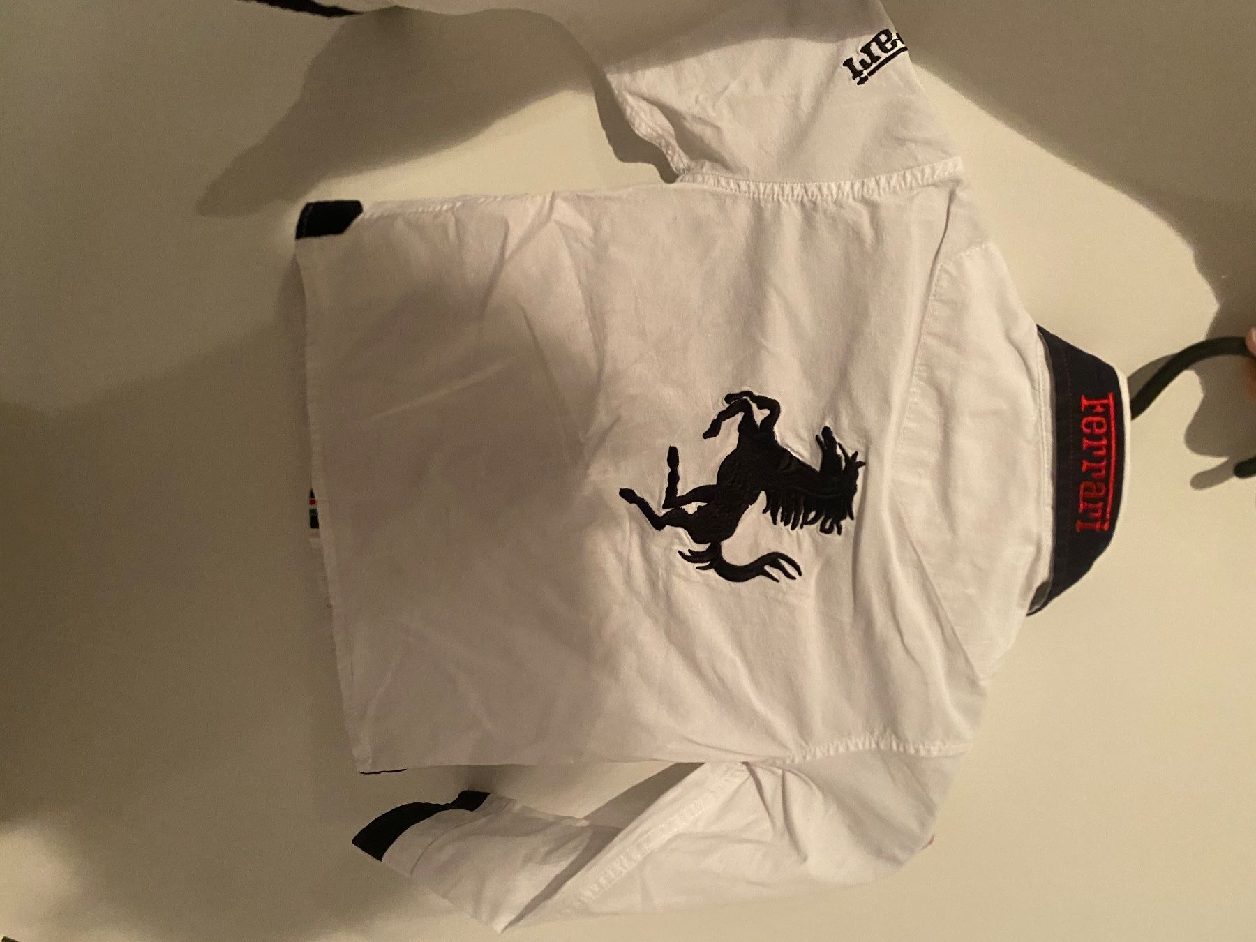 Alpinestars Camicie, T-shirt & Polo: Ferrari Kinderhemd 98 – Usato da Alberswil venduto da PAMA1901 1