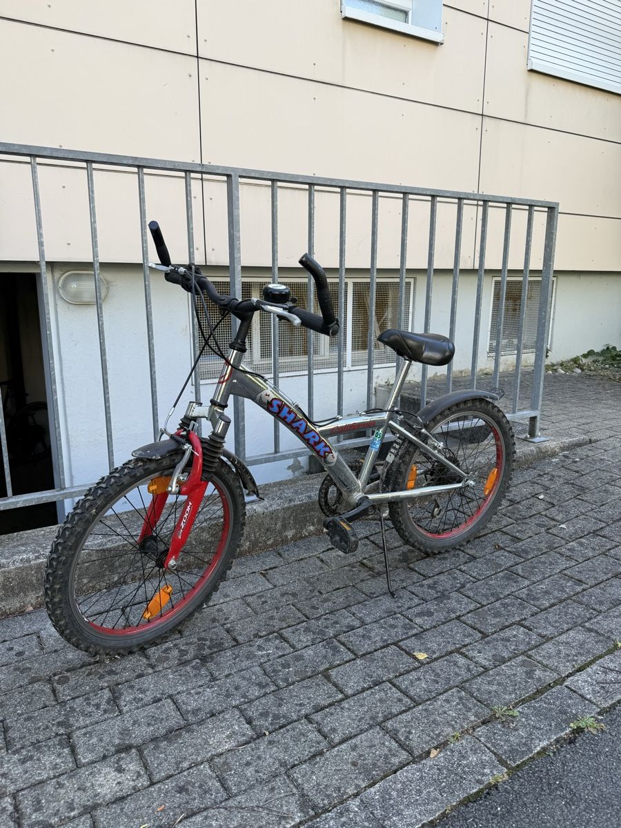 Biciclette: Kindervelo Shark silber rot – Usato da Uster venduto da HiestandReto 3