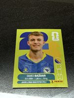 Panini WM BIH 19