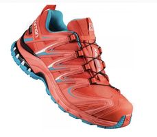 Salomon XA Pro 3D goretex Damen Gr.38.2/3
