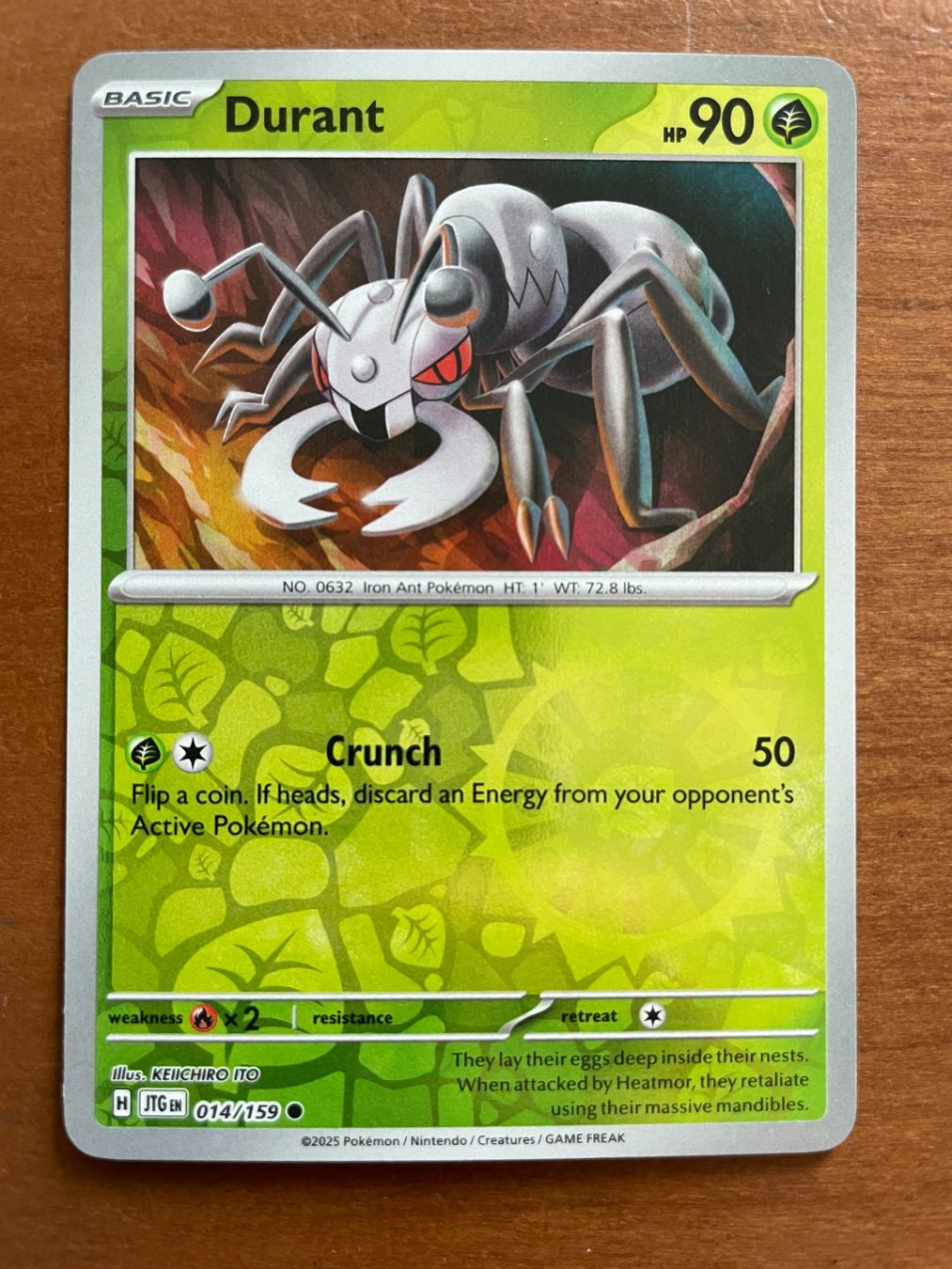 Pokémon Carte collezionabili: Pokemon Durant Reverse ENG (Versand gratis) – Nuovo (secondo la descrizione) da Chur venduto da Angerson