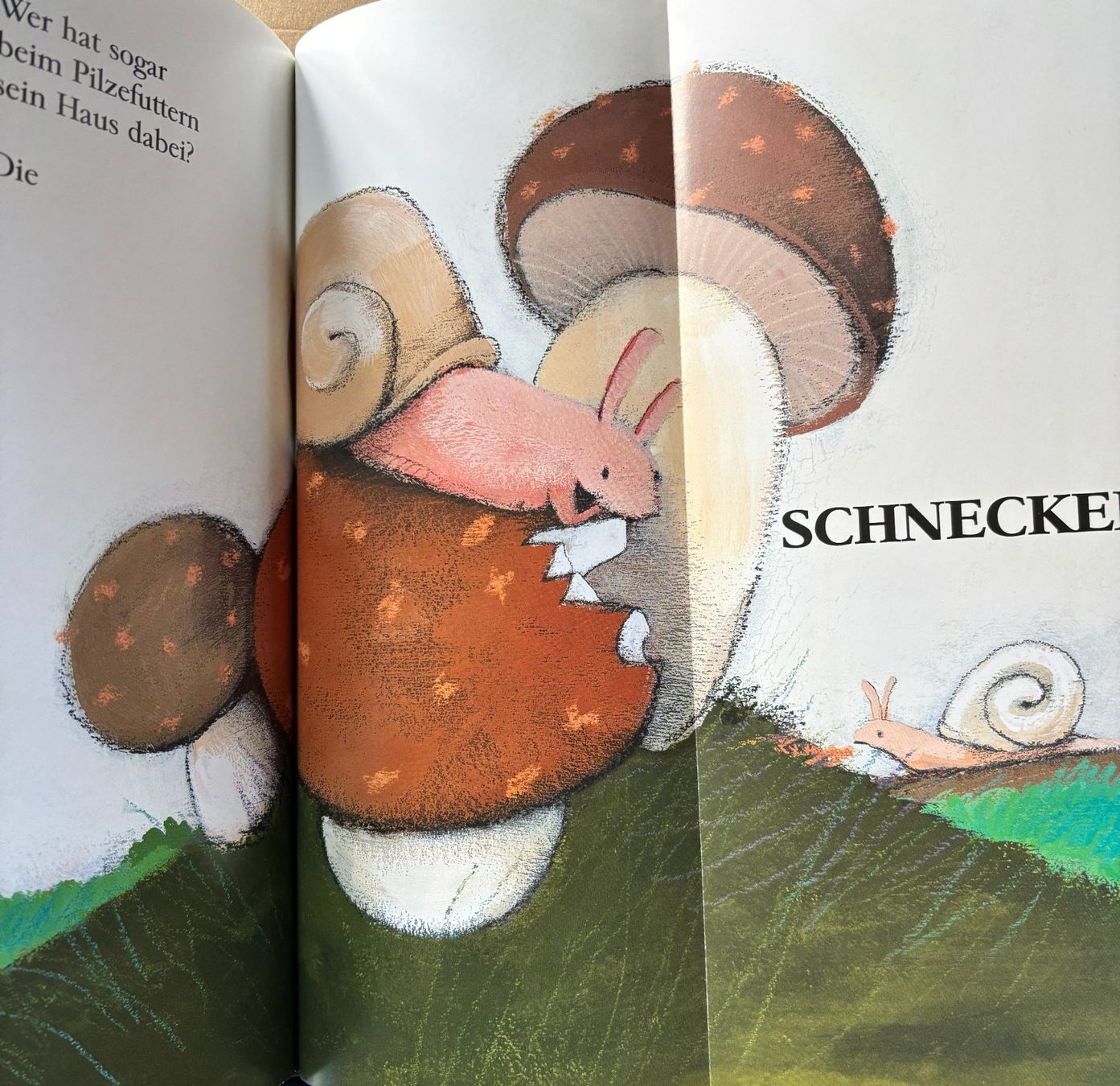 Bücher: Bohems Tierleben, Kraut und Rüben – Neu (gemäss Beschreibung) aus Sarnen von Livres 3
