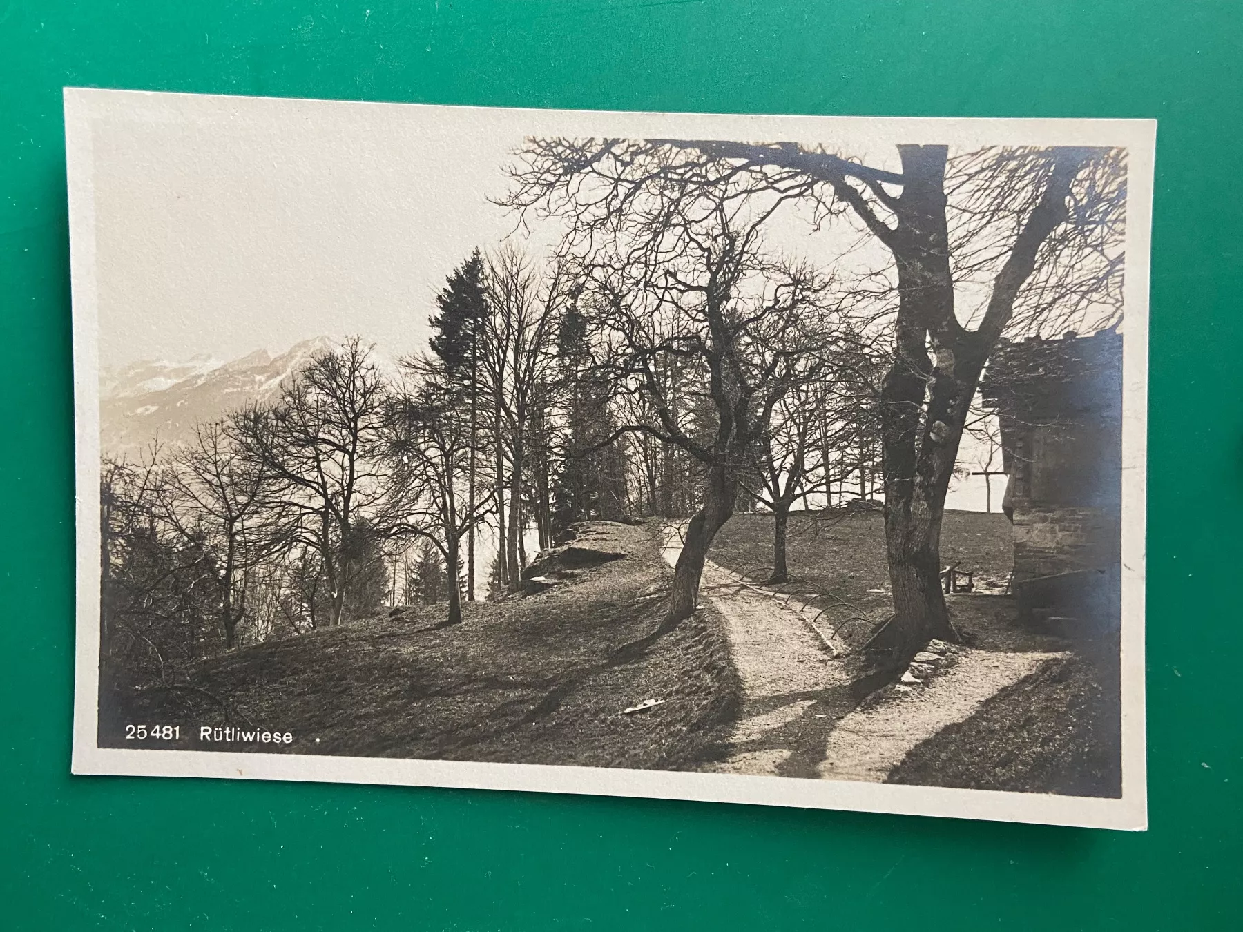 Cartoline postali: Rütliwiese – Usato da Steg VS venduto da _vinci_